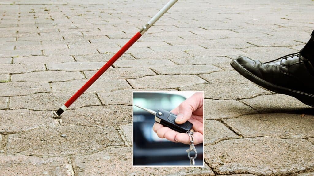 I due sono ora accusati, oltre che di truffa aggravata, anche di falso ideologico, indebita percezione del reddito di cittadinanza e autoriciclaggio