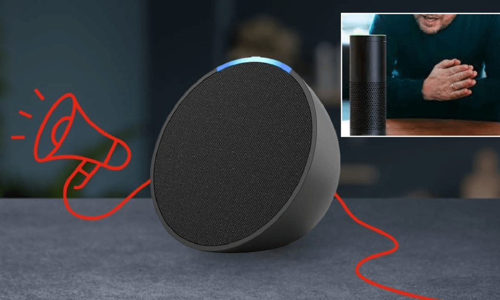 Alexa si evolve, risponderà agli insulti ecco cosa dirà, le novità dall'8 marzo