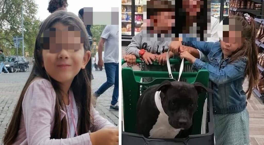 "Dovevamo passare la giornata di festa tutti insieme. Invece siamo stati trascinati dentro questa tragedia." Intanto nel VIDEO di sorveglianza di una villetta si nota una delle vetture sfrecciare a più di 100 km orari e schiantarsi contro gli altri due veicoli