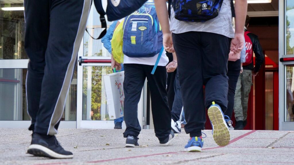 Le multe fino a 10mila euro, oltre al pagamento dei danni