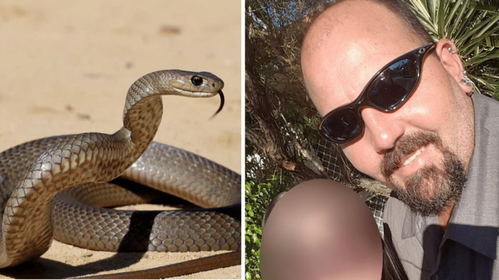 Tornato a casa con il serpente ancora in una sacca ha provato a spiegare l'accaduto alla moglie ma è stramazzato a terra