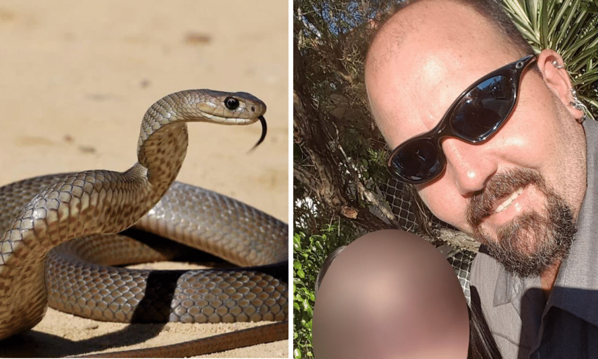 Tornato a casa con il serpente ancora in una sacca ha provato a spiegare l'accaduto alla moglie ma è stramazzato a terra