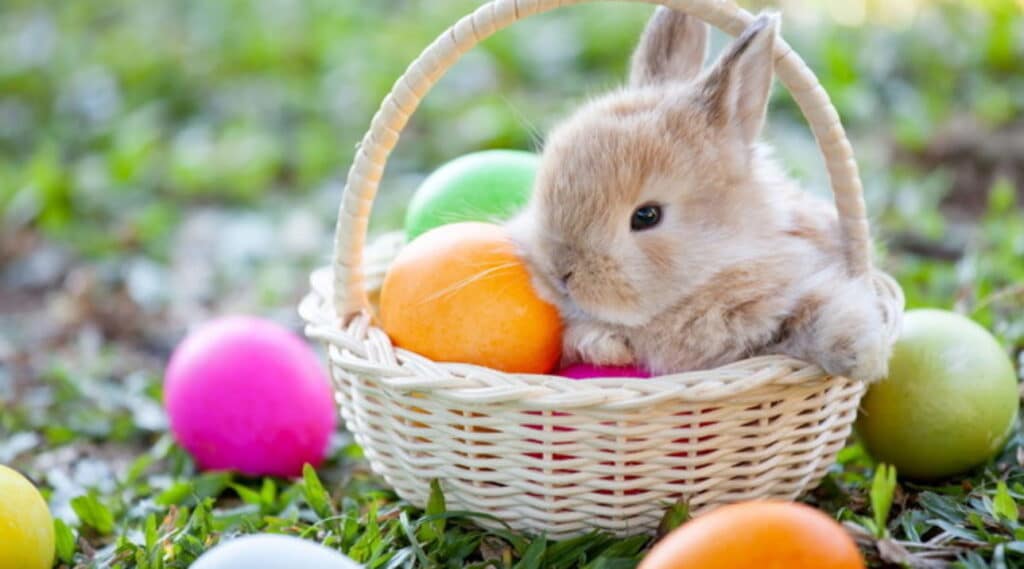 Scopri l'origine e il significato della festività di Pasqua: tradizioni e storia