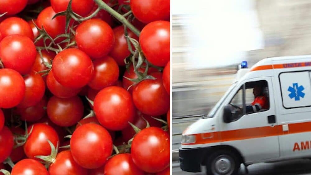 Bimbi e docenti hanno iniziato a manifestare sintomi gastrointestinali in quattro scuole di Modena coinvolte nel progetto "Frutta e verdura a scuola" promosso dal ministero dell'Agricoltura