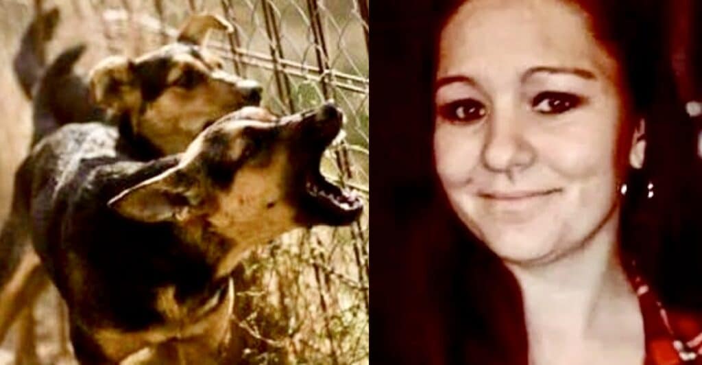 Mamma sbranata dai cani in USA