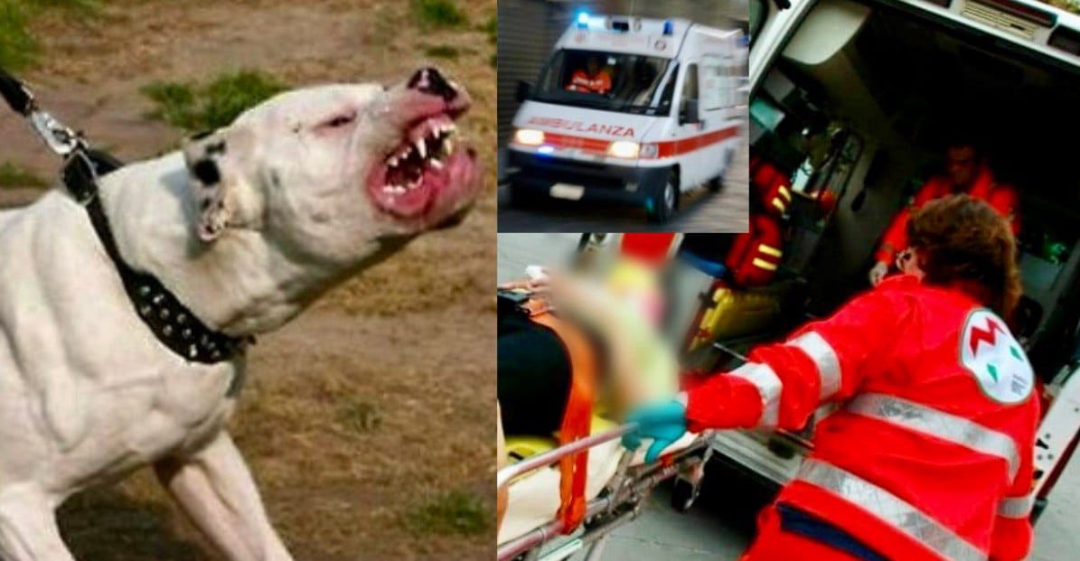 Pitbull azzanna bimba e ragazzina: salvate da una mamma