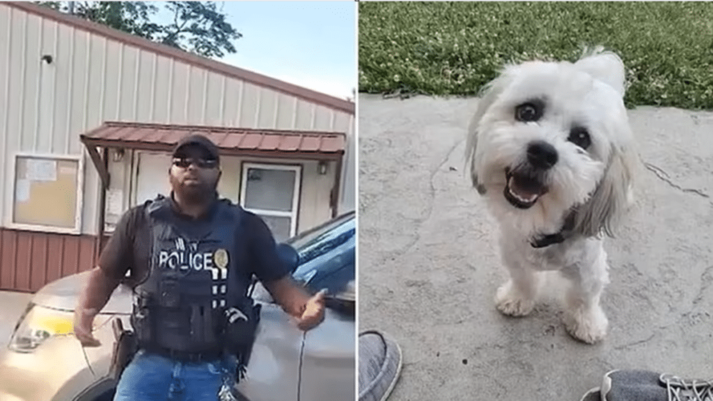 Poliziotto uccide cagnolino