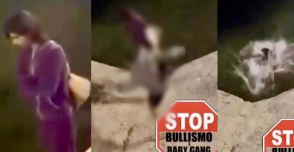 Disabile aggredito e gettato in mare a Bari