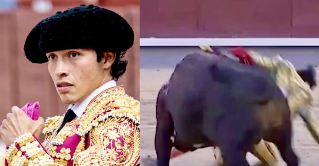 Toro incorna un torero alla corrida di Madrid