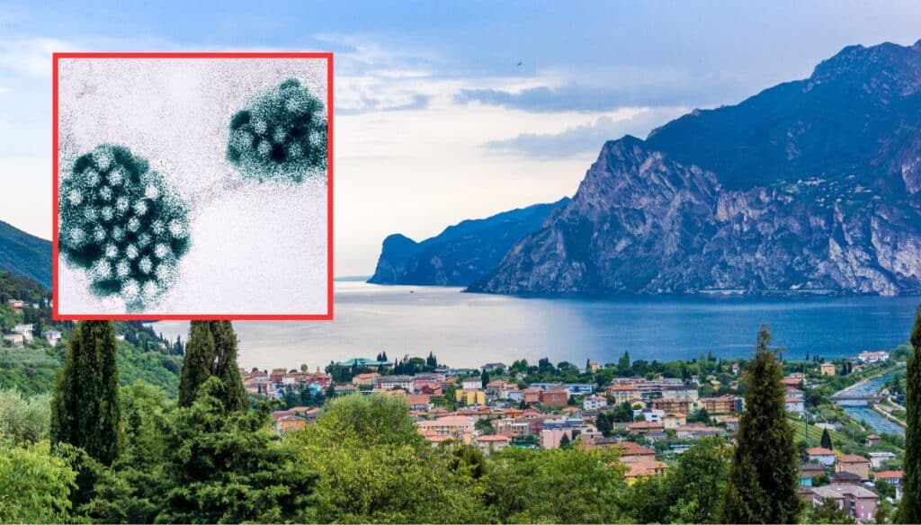 Lago di Garda, 200 intossicati per Norovirus: ecco cosa sta accadendo