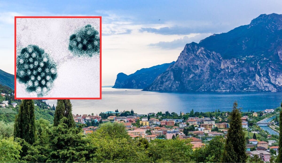 Lago di Garda, 200 intossicati per Norovirus: ecco cosa sta accadendo