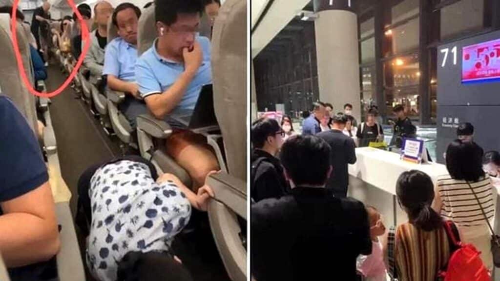 Passeggeri costretti a scendere dall'aereo per un opossum a bordo: ecco cos'è accaduto