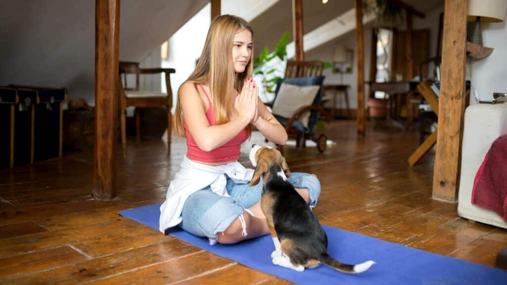 Puppy Yoga: cos’è la disciplina e perché è una pratica illegale in Italia