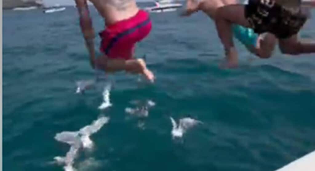 "Se si divertono così, si immagini cosa possano fare in altri contesti."[VIDEO]