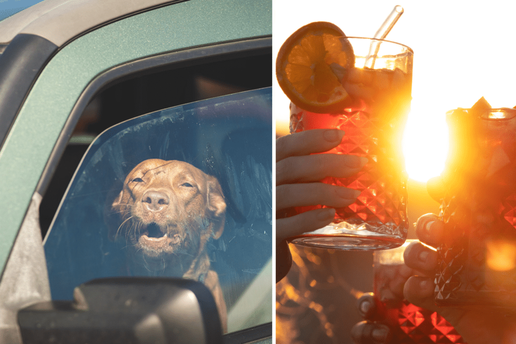 C'è voluta circa un'ora per raggiungere i proprietari. Erano seduti a un bar a sorseggiare bevande fresche in uno dei giorni più caldi dell'anno