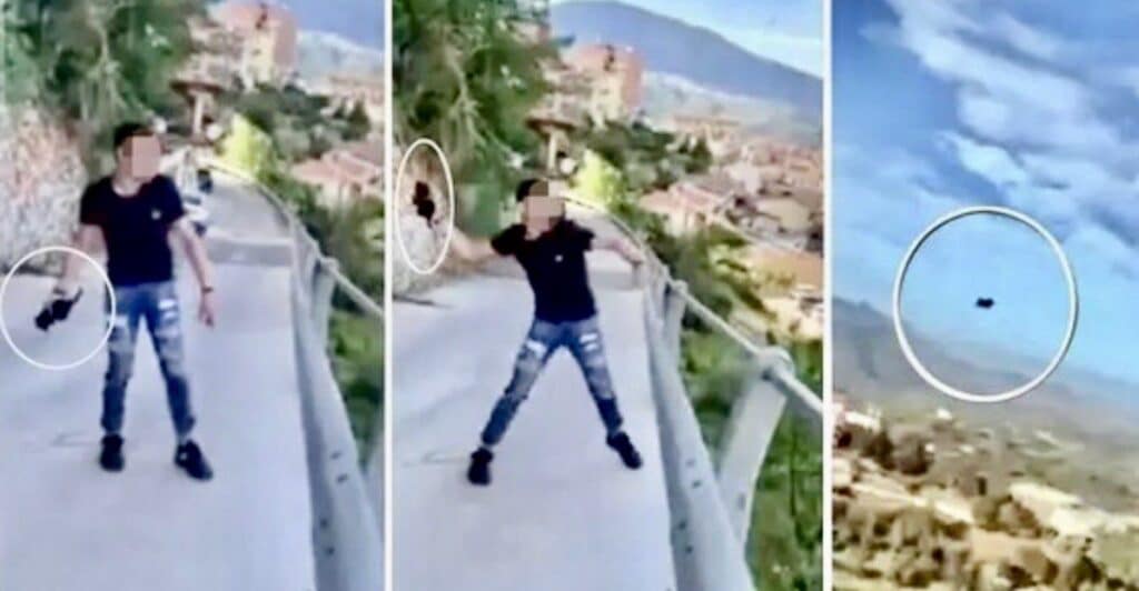 Ragazzo getta dal ponte un gattino: individuato