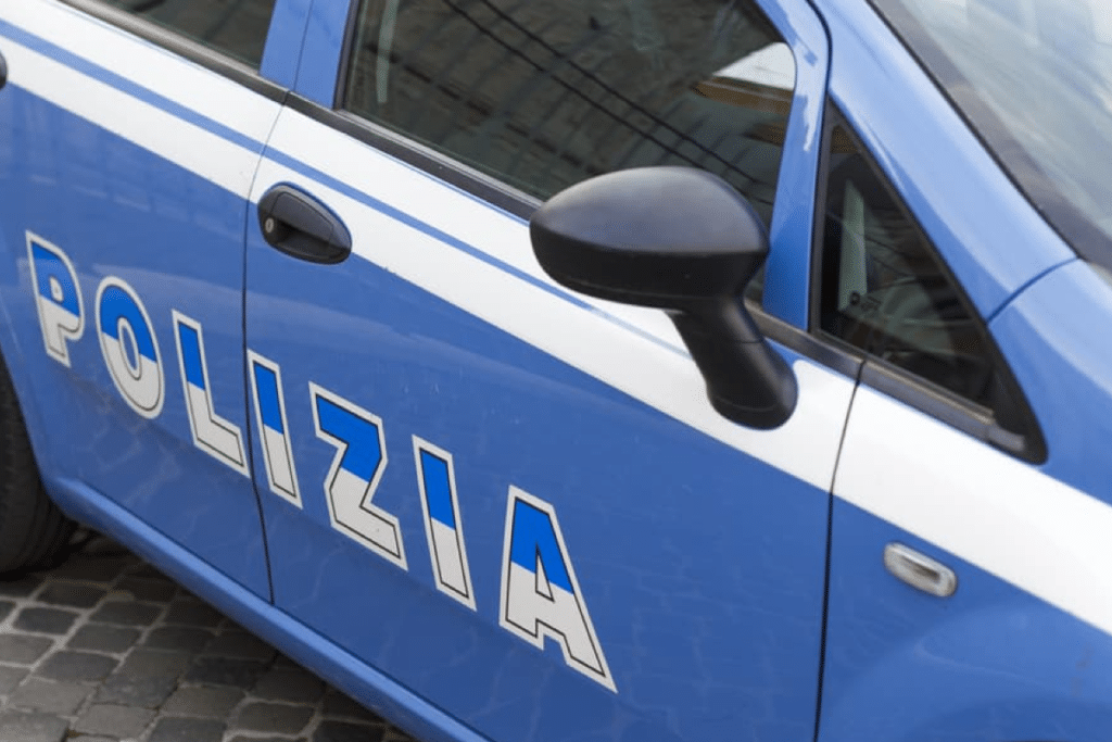 "Ancora una volta la violenza si scatena nei confronti di esseri senzienti, e indifesi, a riprova di una crudeltà e di una vigliaccheria che lascia sgomenti."