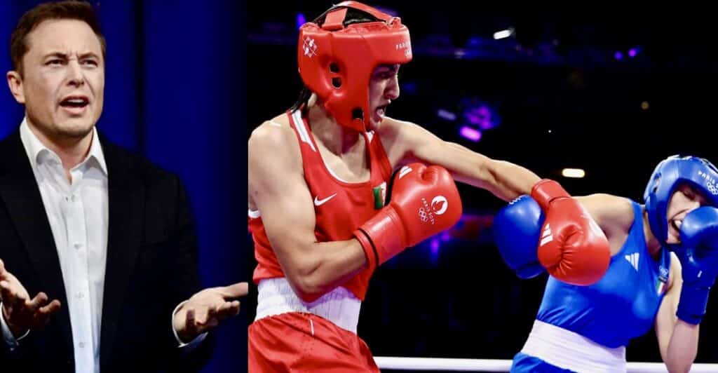 Elon Musk si schiera con Angela Carini: le parole