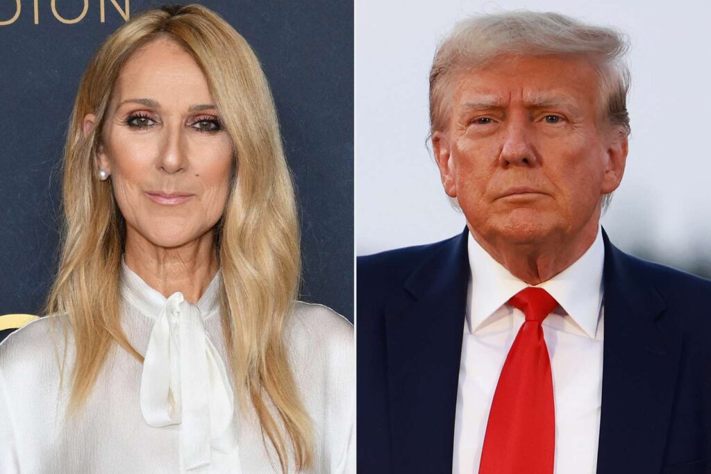 Celine Dion si scaglia contro Donald Trump: "Non usare la canzone di Titanic"