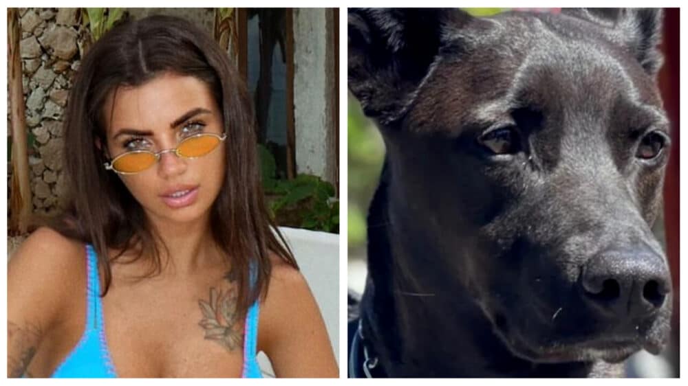 Eleonora Rocchini lancia una raccolta fondi per il cane malato: è bufera