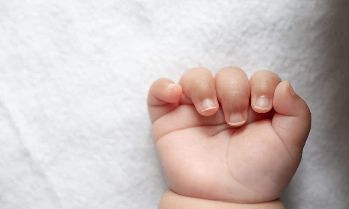 "Quando lo abbiamo visto non volevamo credere ai nostri occhi."