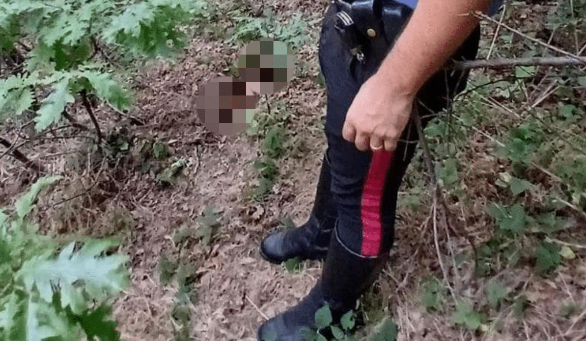 Orrore a Parma, trova un teschio umano mentre cerca tartufi nei boschi