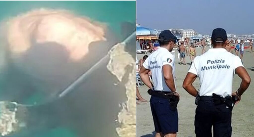 Siracusa, cane legato e gettato in mare