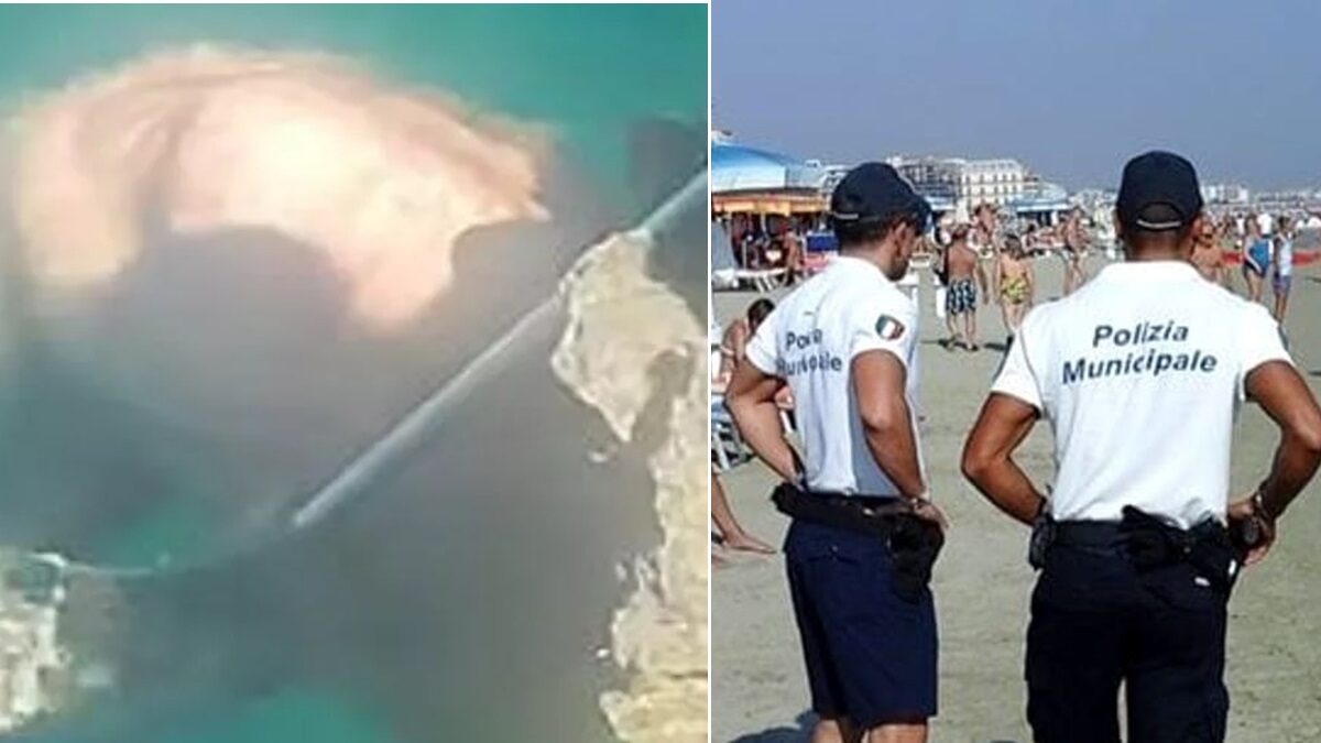 Siracusa, cane legato e gettato in mare