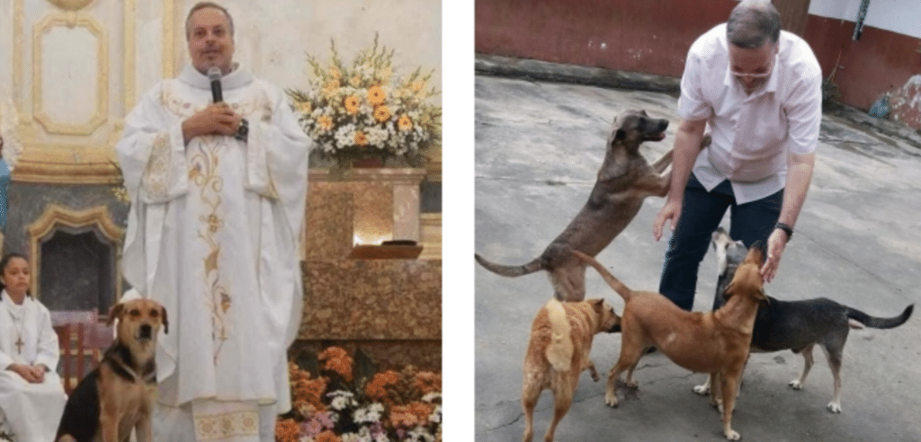 Prete salva i cani randagi, gli dà da mangiare, li lava e li presenta ad ogni messa per farli adottare