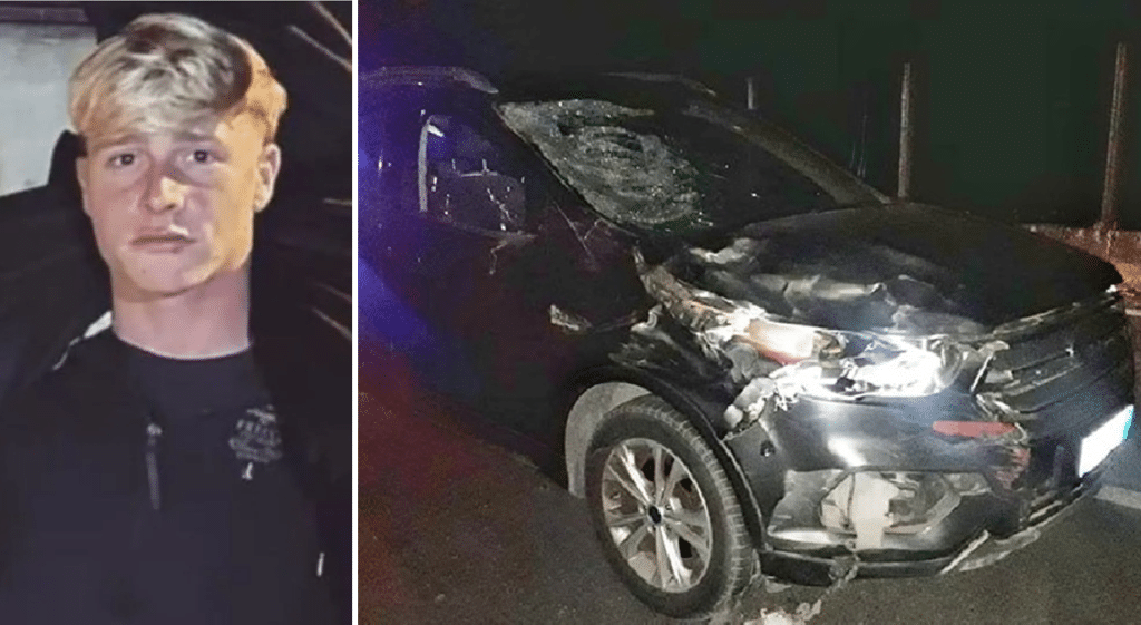 Ragusa, investito mentre si trova a cavallo