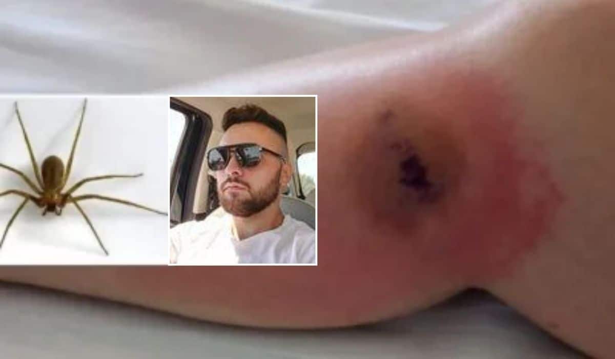 giuseppe russo ucciso ragno violino