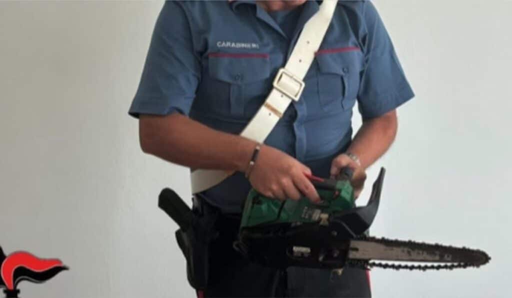 litiga netturbino motosega