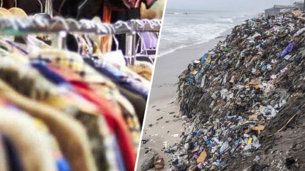 shein prodotti tossici vestiti