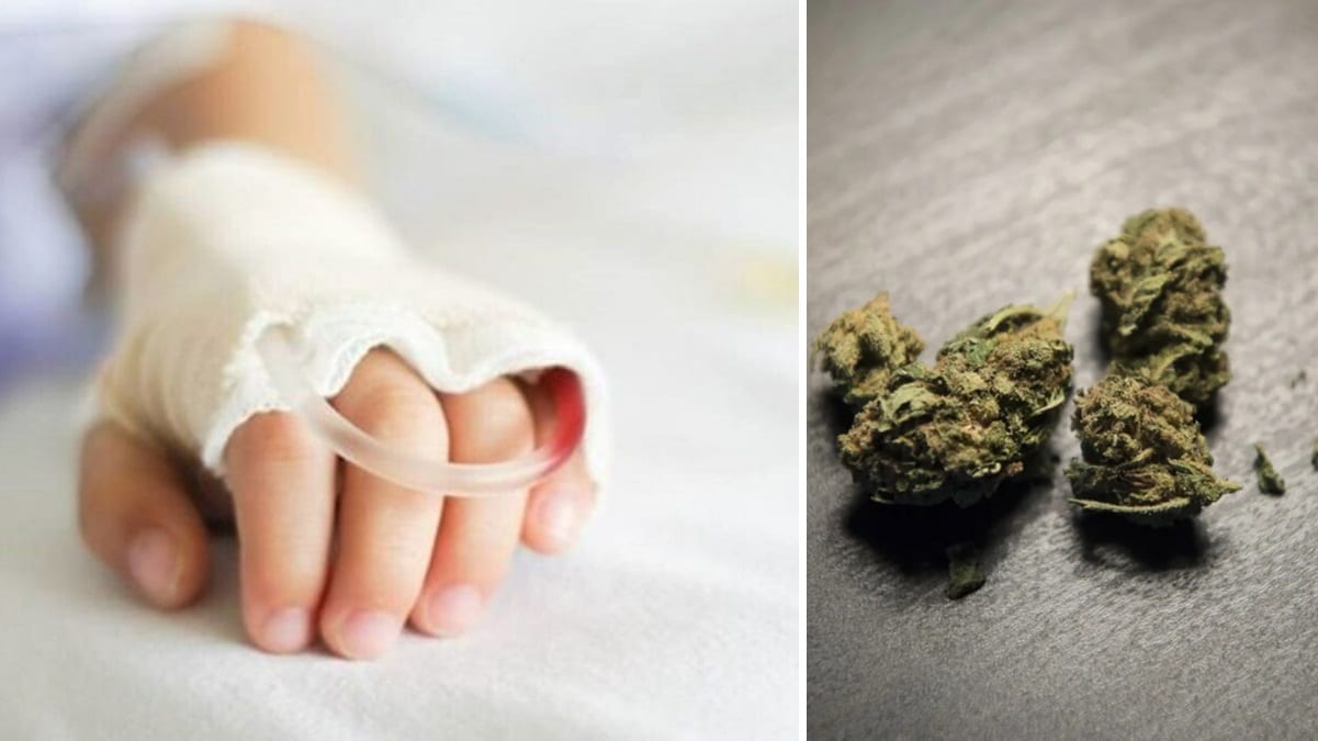 Cosenza, bambina ingerisce marijuana