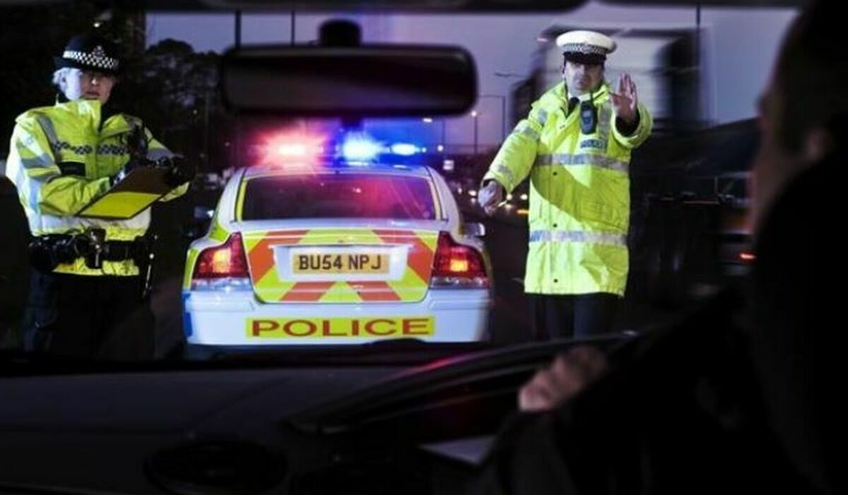 80enne ucciso da una baby gang mentre porta a spasso il cane: fermati 5 ragazzi