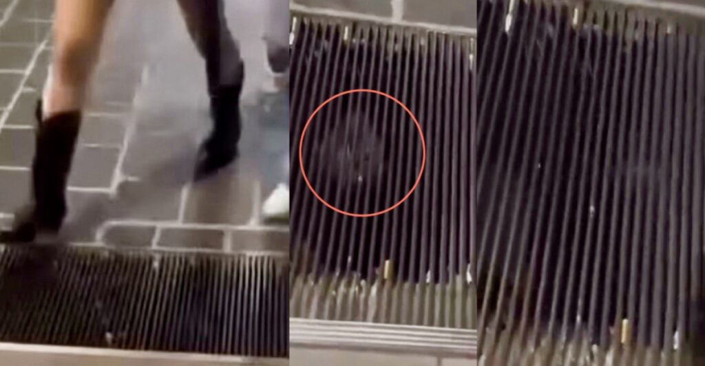 L'uomo talpa beccato nella grata a Casalpusterlengo