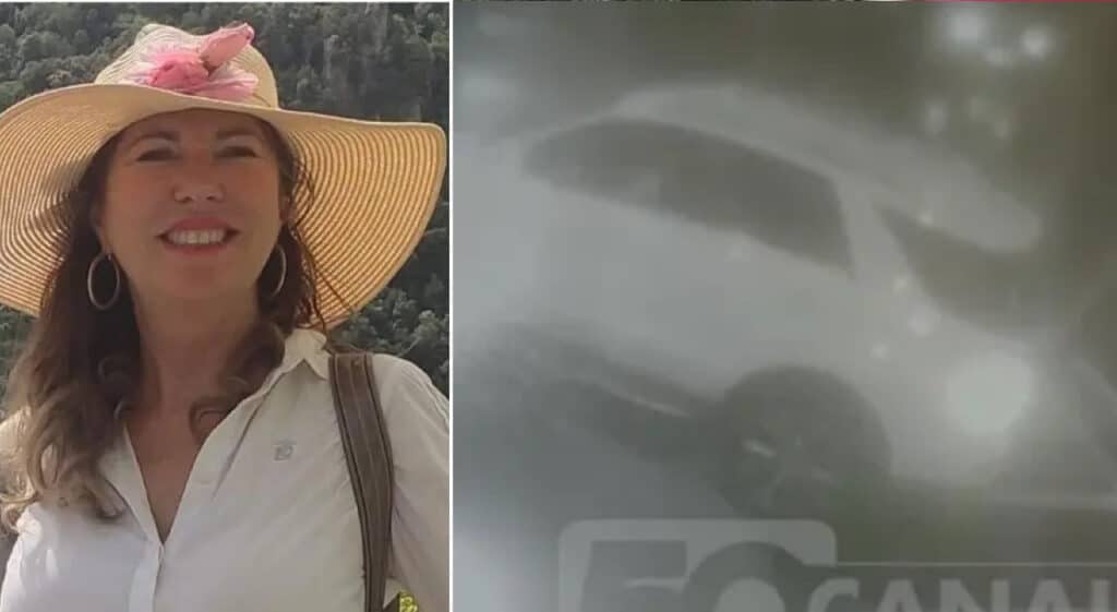 La donna una volta investito il ladro, irregolare in Italia, è scesa dalla vettura, si è ripresa la borsa ed è scappata via. Il resoconto dell'assurda vicenda