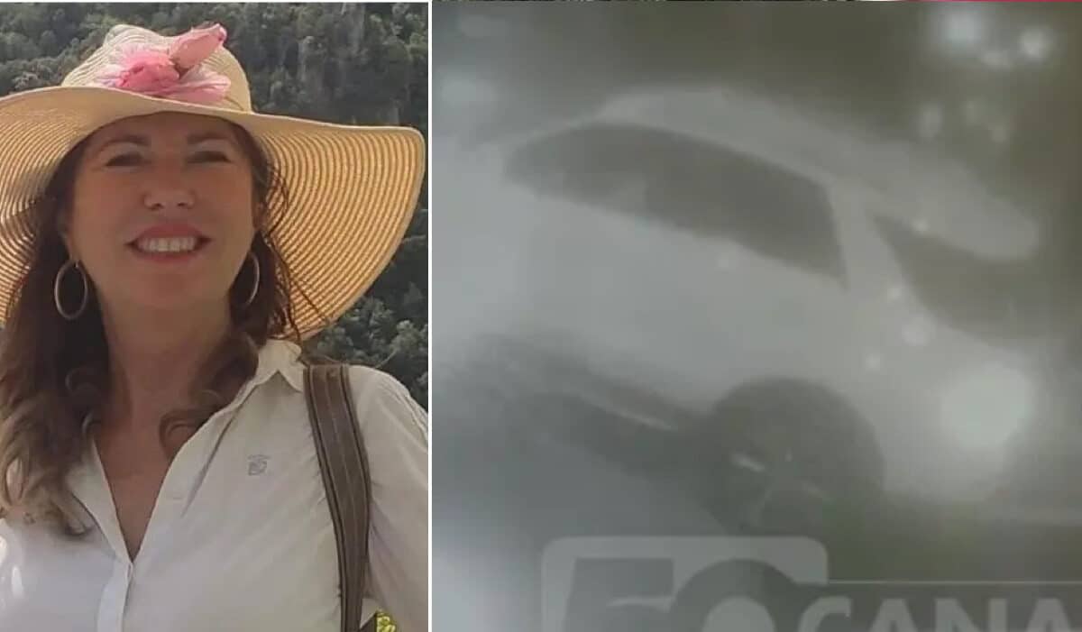 La donna una volta investito il ladro, irregolare in Italia, è scesa dalla vettura, si è ripresa la borsa ed è scappata via. Il resoconto dell'assurda vicenda