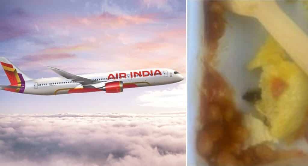 Trova uno scarafaggio nel pasto del figlio in aereo