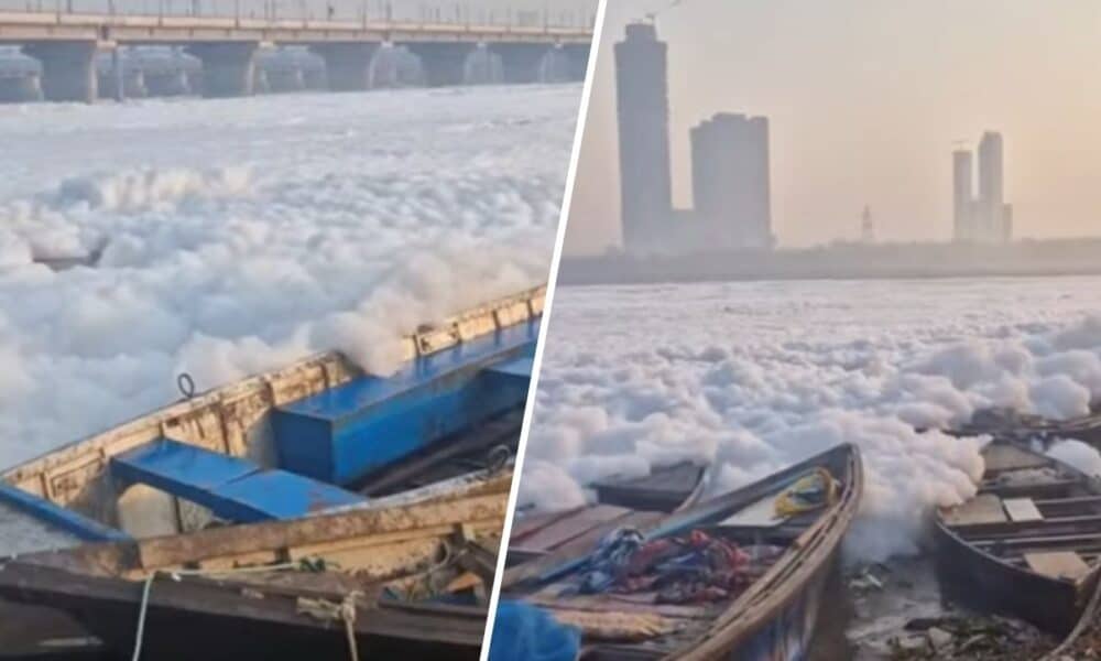 Schiuma tossica nel fiume, impatto sulla salute “devastante” (VIDEO) - Foto