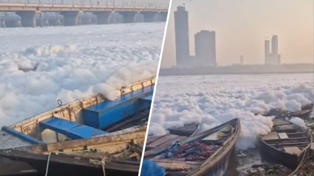 schiuma tossica fiume video