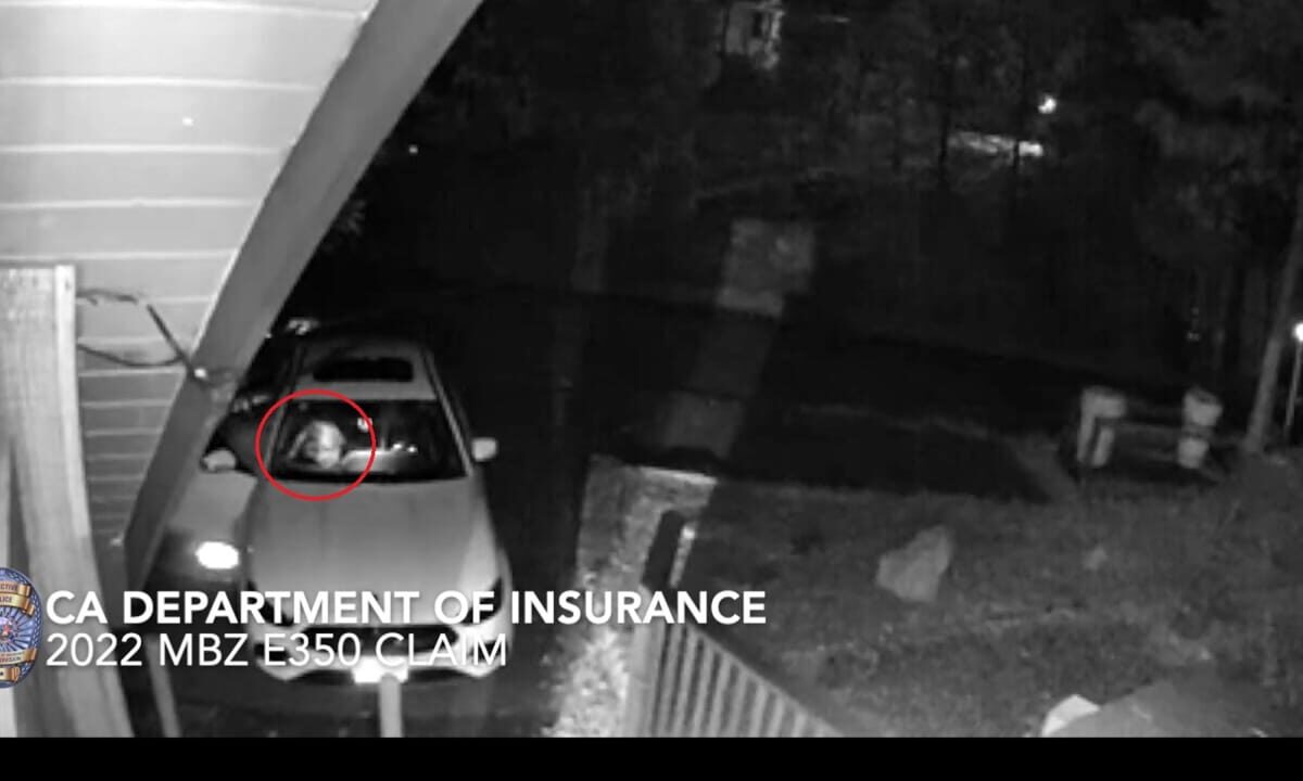 Quattro uomini si travestono da orsi e danneggiano le auto: ecco perché